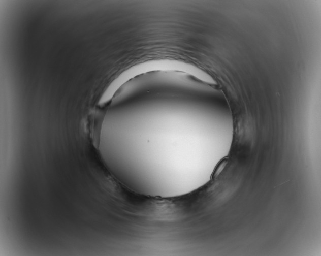 X0000088490424200706121552