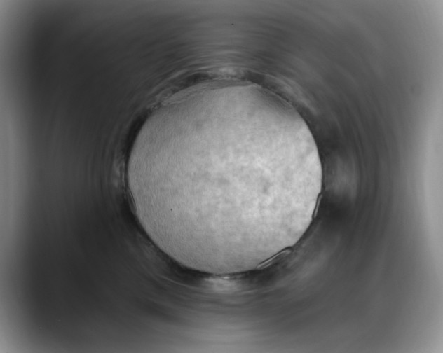 X0000088490425200706121552