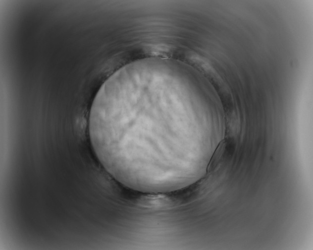 X0000088490427200706121552