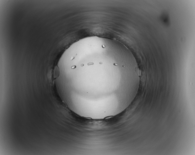 X0000088490428200706121552