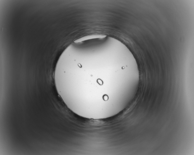 X0000088490429200706121552