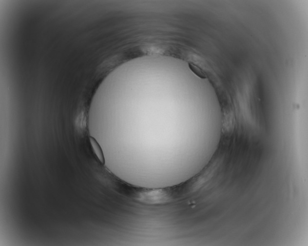 X0000088490431200706121552