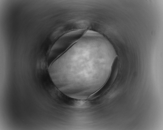 X0000088490432200706121552