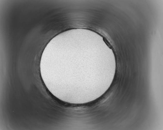 X0000088490433200706121552