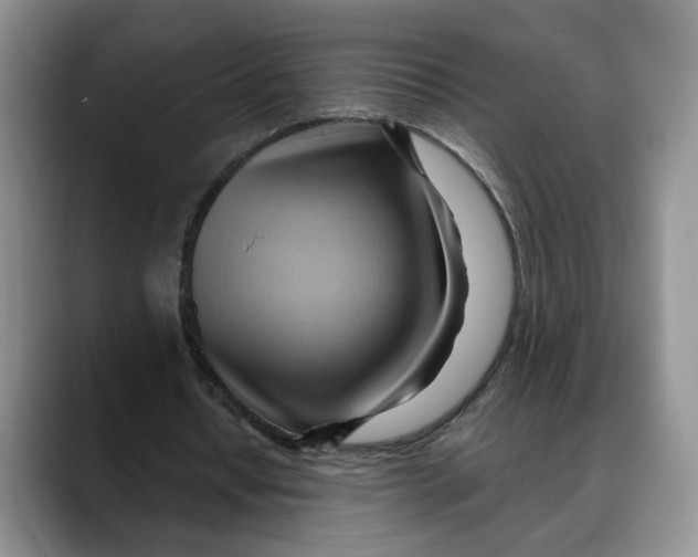 X0000088490434200706121552