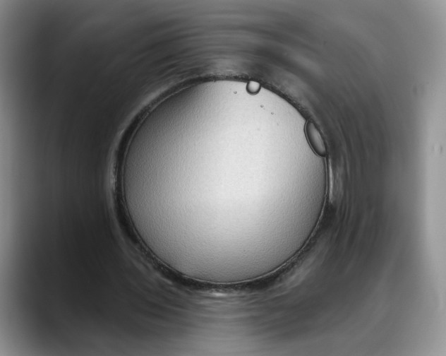 X0000088490435200706121552