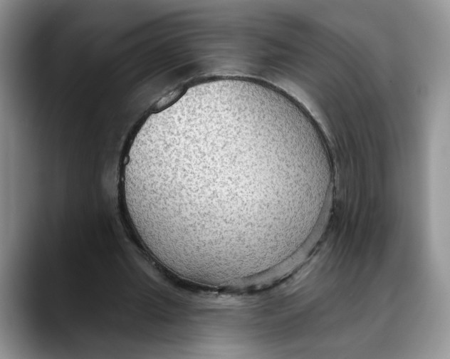 X0000088490437200706121552