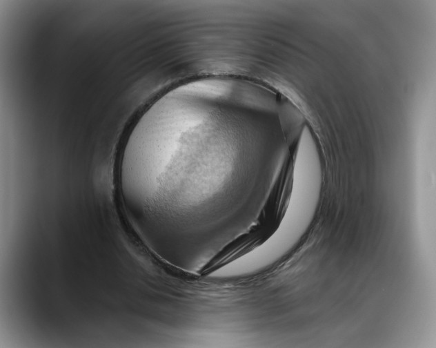 X0000088490438200706121552