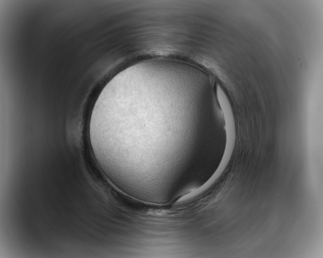 X0000088490440200706121552