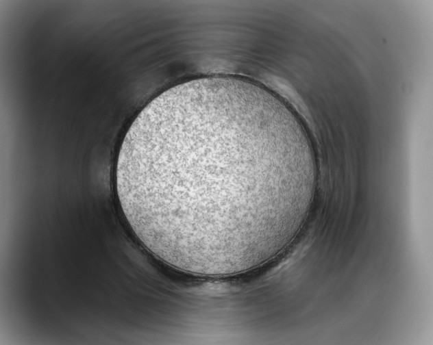 X0000088490441200706121552
