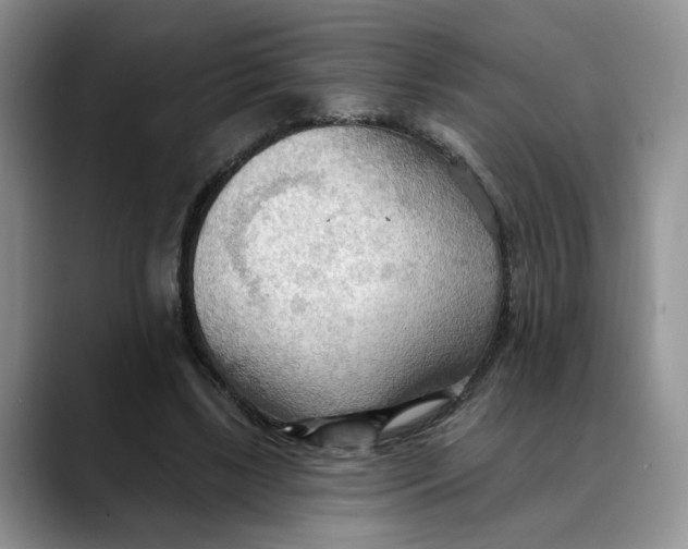 X0000088490443200706121552