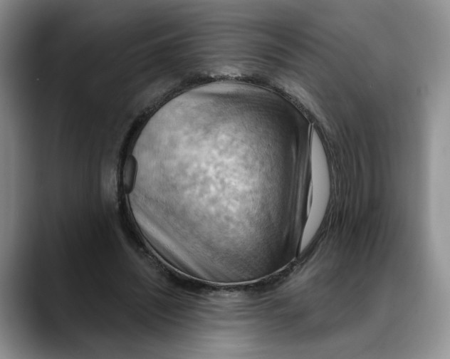 X0000088490444200706121552