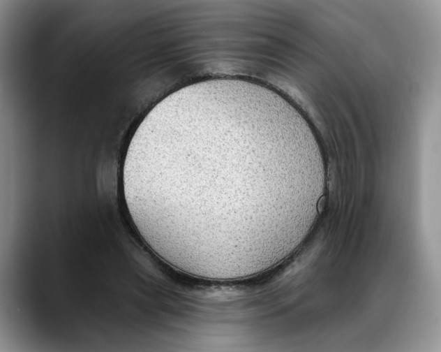 X0000088490445200706121552