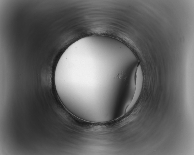 X0000088490446200706121552