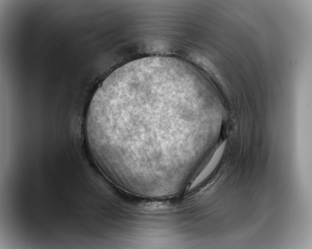 X0000088490449200706121552