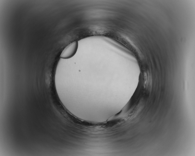 X0000088490451200706121552