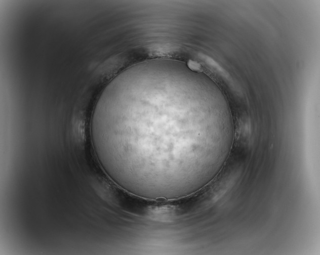 X0000088490452200706121552