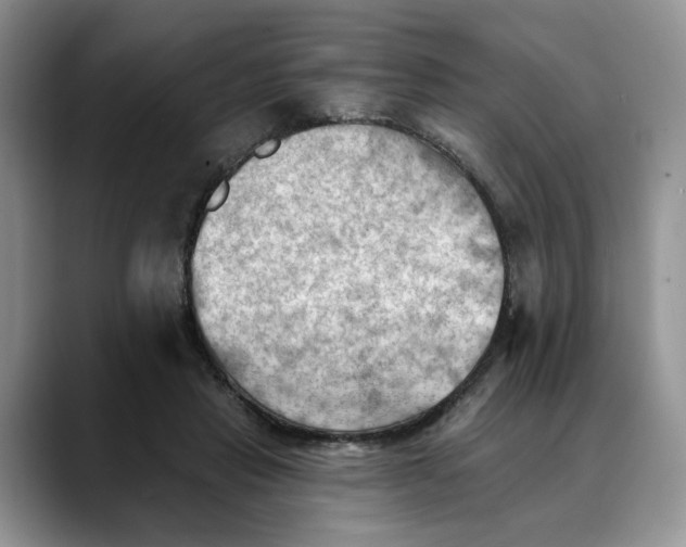X0000088490453200706121552