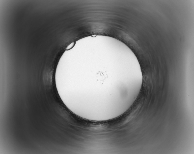 X0000088490454200706121552