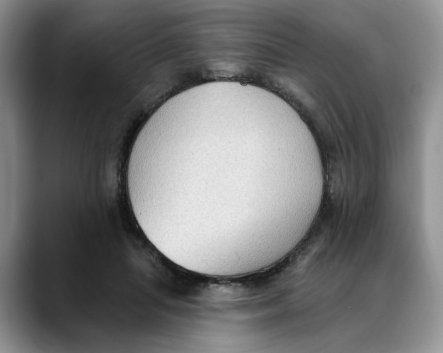 X0000088490455200706121552