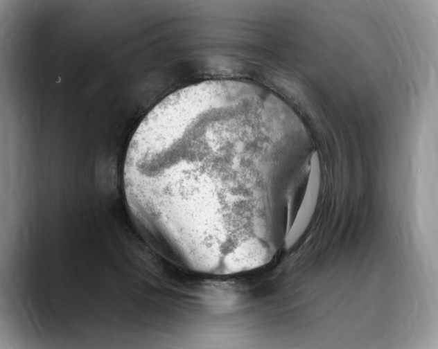 X0000088490457200706121552