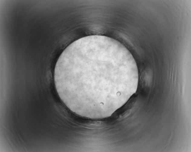 X0000088490459200706121552