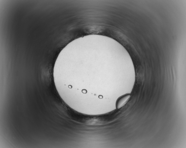 X0000088490460200706121552
