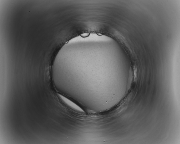 X0000088490462200706121552
