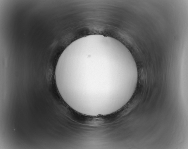 X0000088490463200706121552