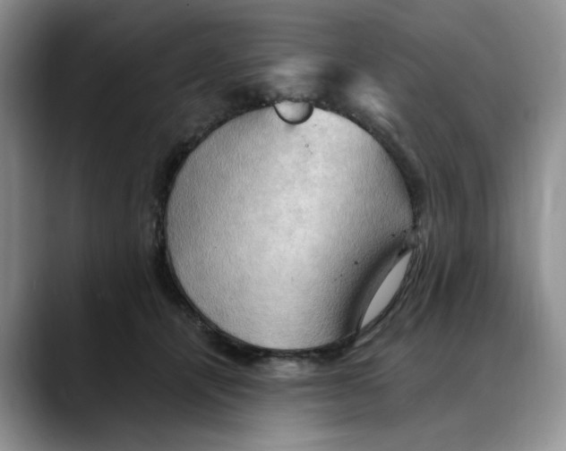 X0000088490464200706121552
