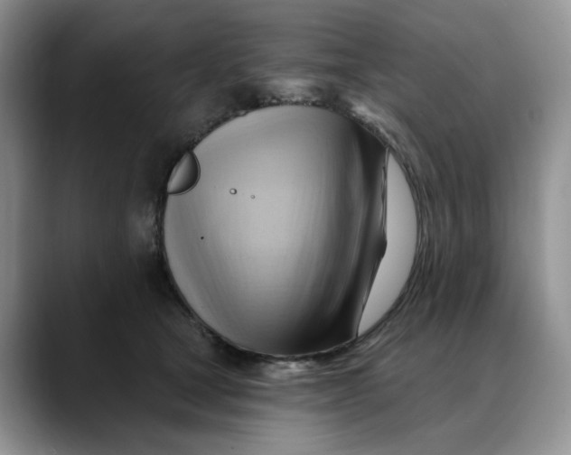X0000088490465200706121552