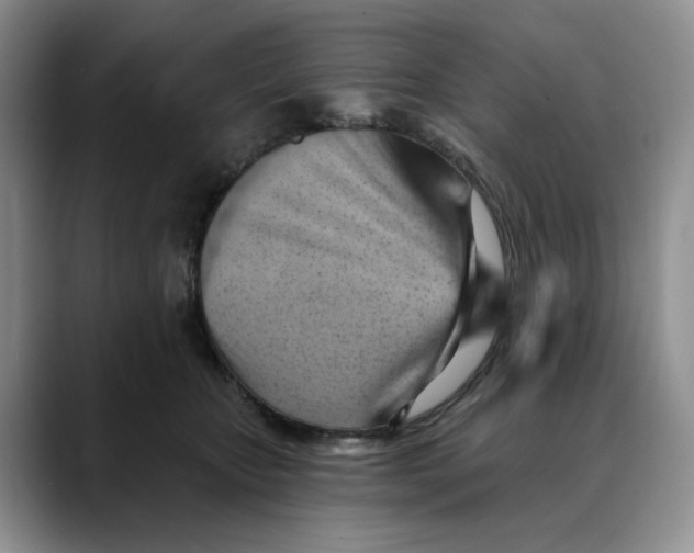 X0000088490467200706121552