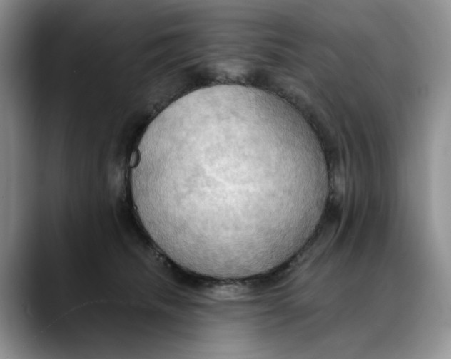 X0000088490468200706121552