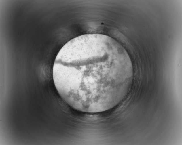 X0000088490469200706121552