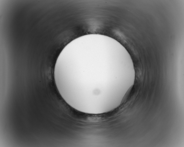X0000088490470200706121552