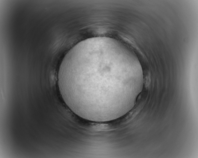 X0000088490476200706121552