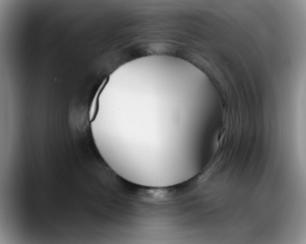 X0000088490478200706121552