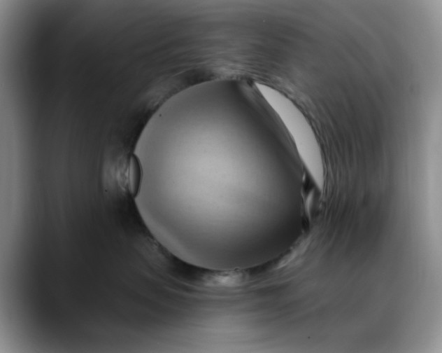 X0000088490479200706121552
