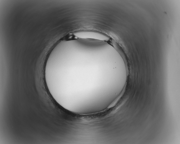 X0000088490481200706121552