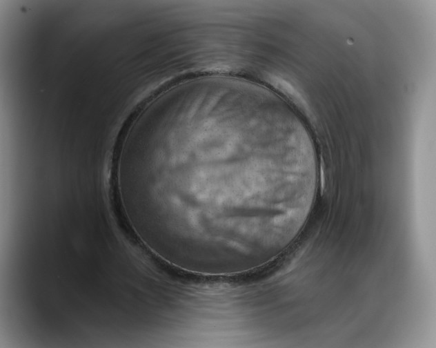 X0000088490483200706121552