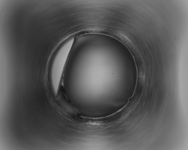 X0000088490484200706121552