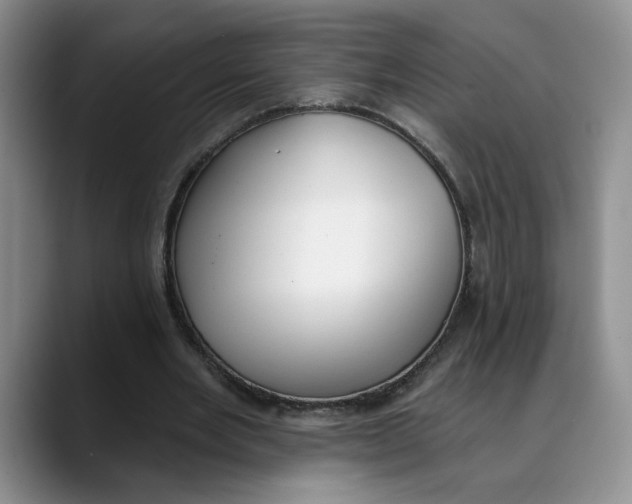 X0000088490485200706121552