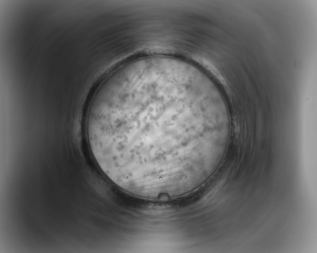 X0000088490487200706121552