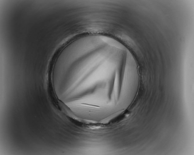 X0000088490488200706121551