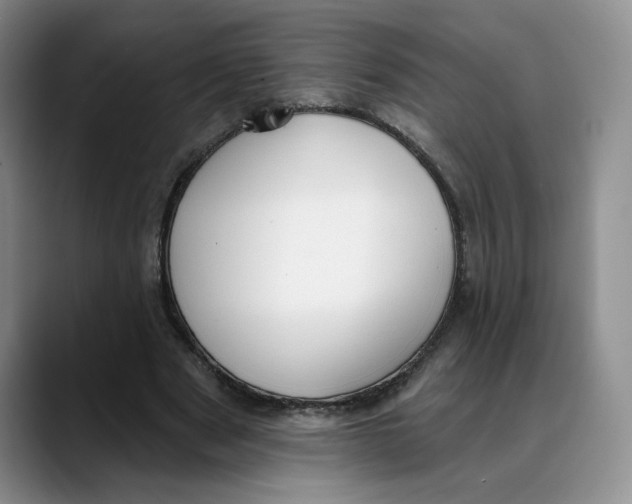 X0000088490489200706121551