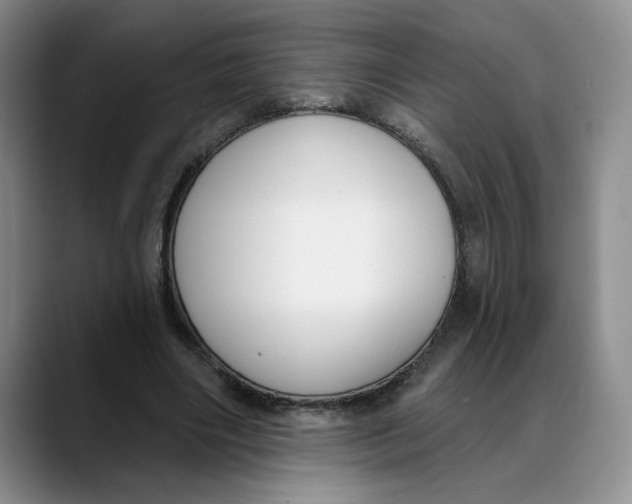 X0000088490490200706121551
