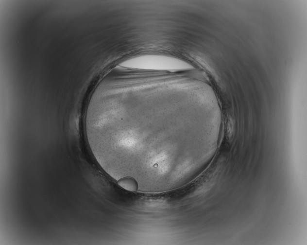 X0000088490491200706121551