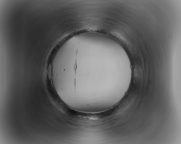 X0000088490492200706121551
