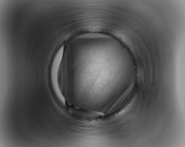 X0000088490493200706121551