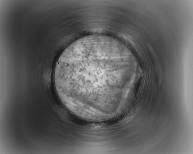 X0000088490495200706121551